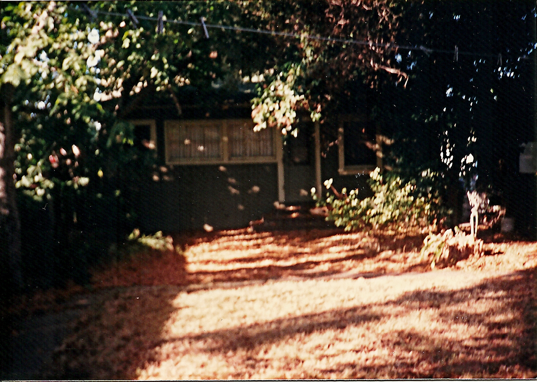 13th Street San Jose (68)